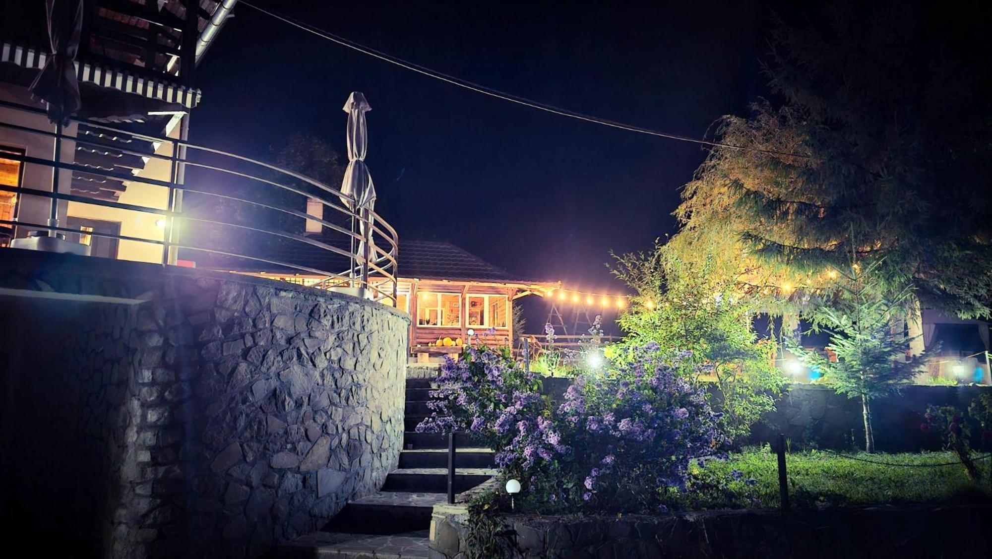 Pensiunea La Taverna Trăisteni Esterno foto