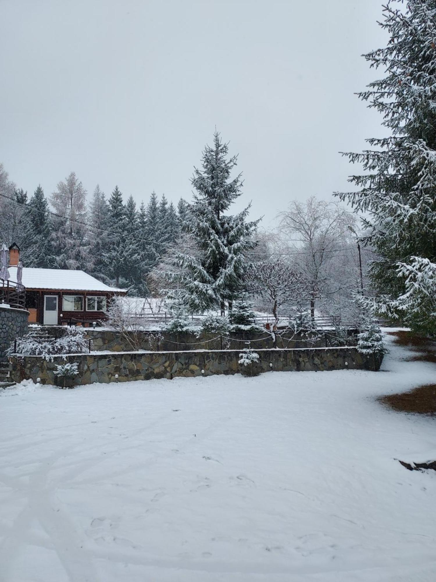 Pensiunea La Taverna Trăisteni Esterno foto